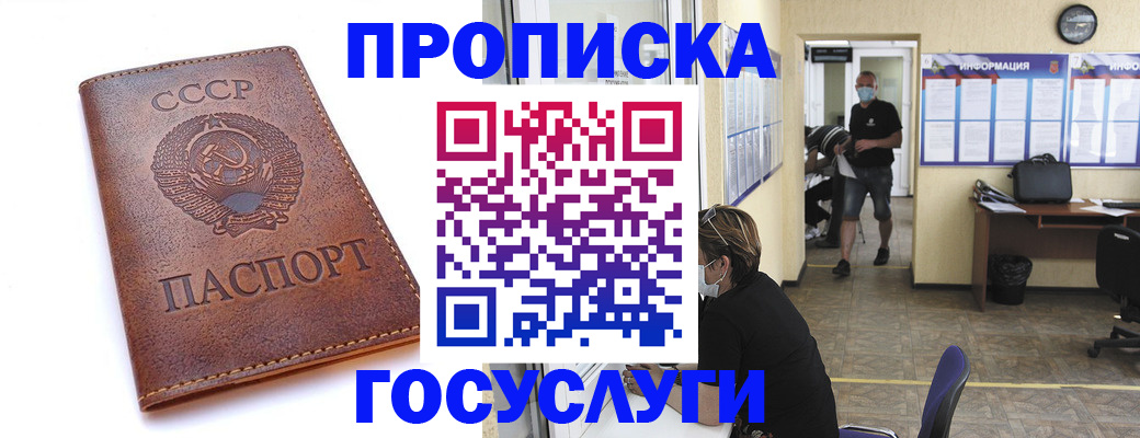 форма 3 в Сольцах